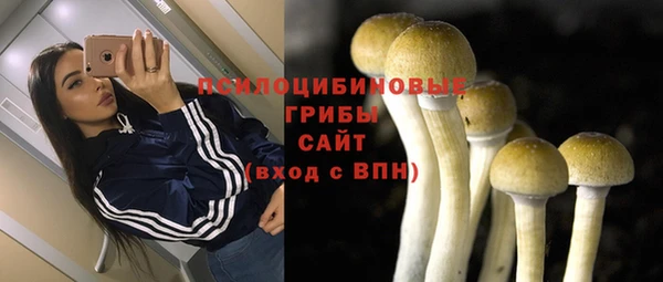 хмурый Семёнов