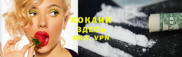 гидропоника Абаза