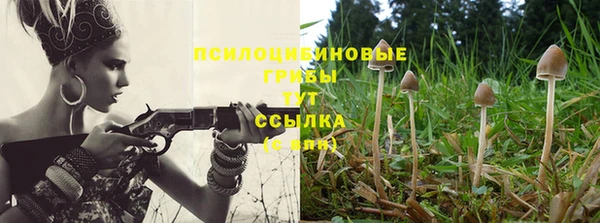 ГАЛЛЮЦИНОГЕННЫЕ ГРИБЫ Семилуки