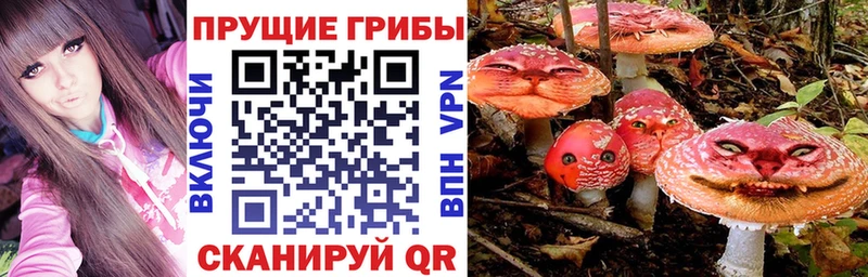 дарк нет телеграм  Каменка  Галлюциногенные грибы ЛСД  даркнет сайт 